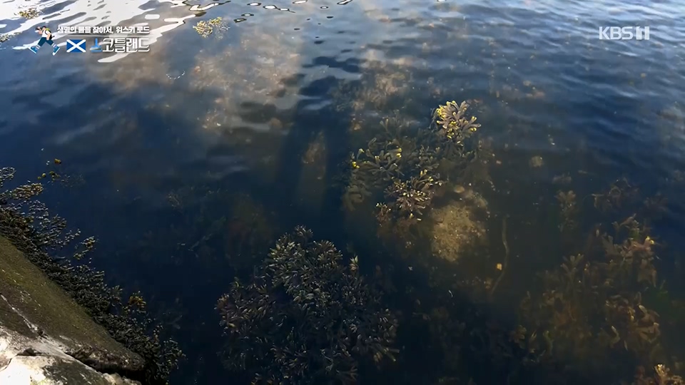 걸어서 세계속으로.E796.230617p.H264-F1RST.mp4_20230623_212626.103.jpg