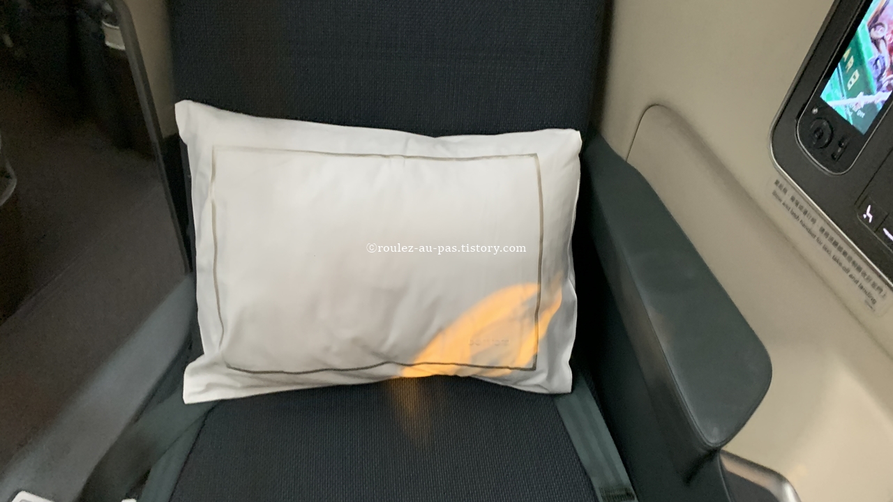 CX419_A359_BIZ_PILLOW