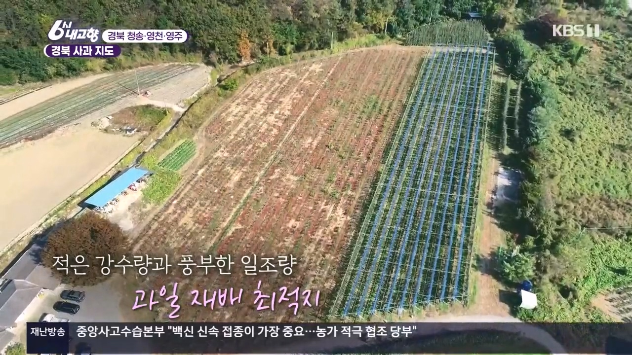 6시 내고향.E7907.231108p.H264-F1RST.mp4_20231108_204106.407.jpg