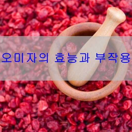 오미자 효능과 부작용
