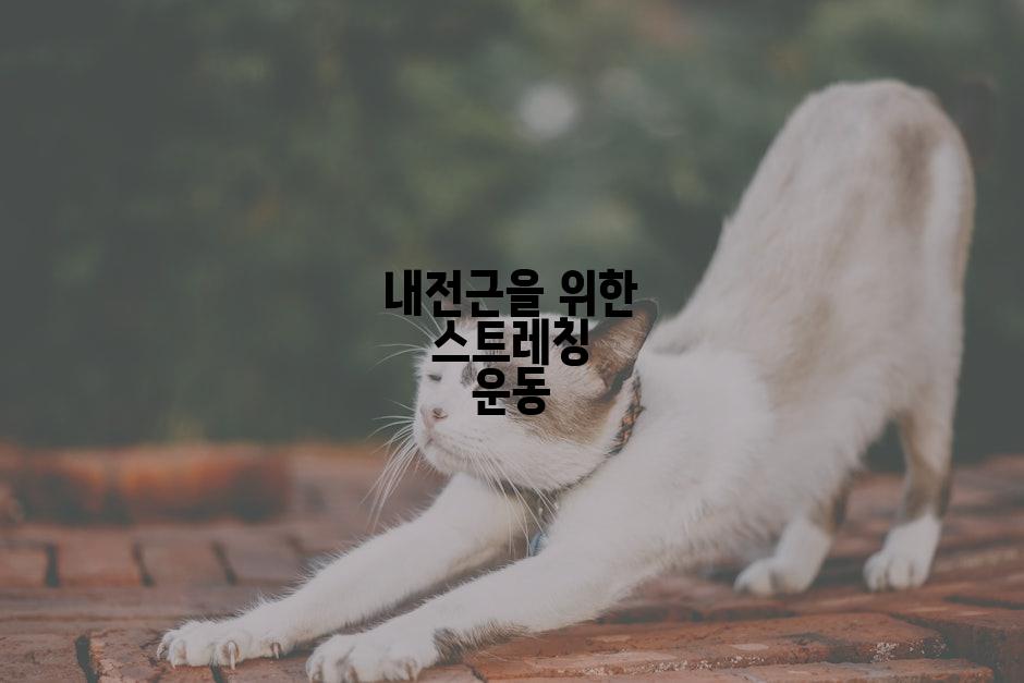 내전근을 위한 스트레칭 운동