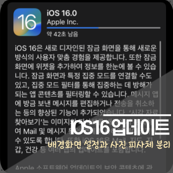  IOS 16 업데이트 내용 정리, 배경화면 위젯 설정과 사진 피사체 분리