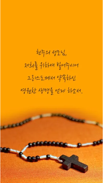 천주교 묵주기도 환희의 신비 5단 내용_6