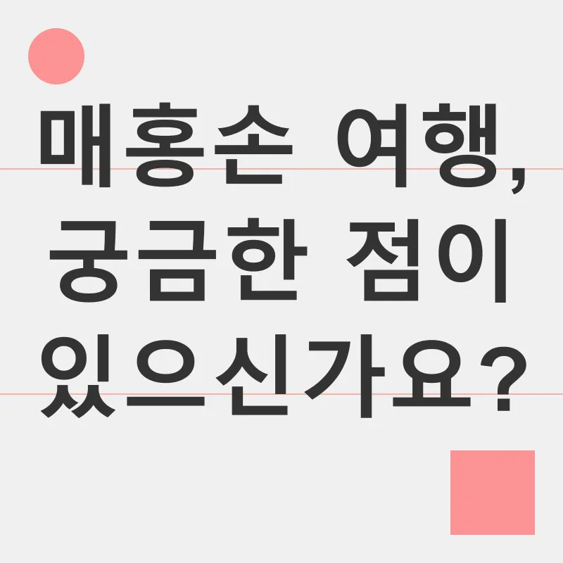 매홍손 여행_4