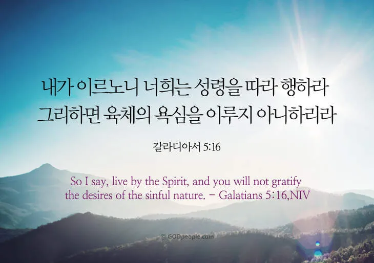 갈라디아서 5장 22절 묵상 - 오직 성령의 열매는 사랑과 희락과 화평과 오래 참음이라_6