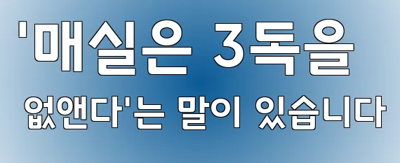 '매실은 3독을 없앤다'는 말이 있습니다