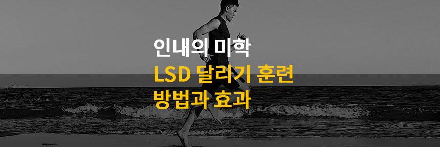 LSD-달리기-훈련-방법-효과