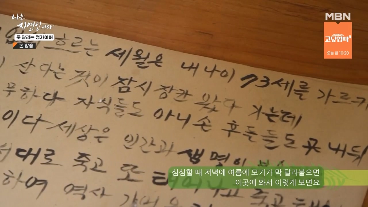 나는 자연인이다.E580.231116p-NEXT.mp4_20231116_202500.155.jpg