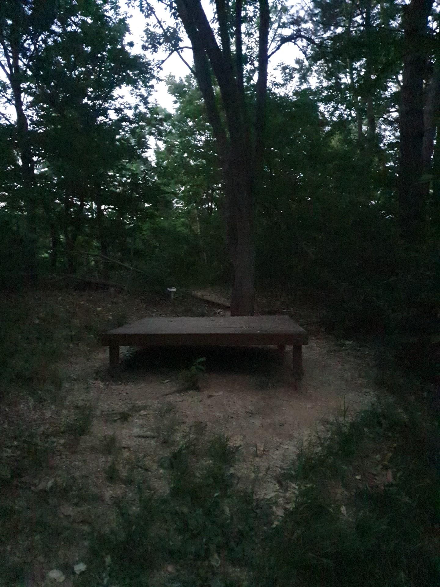 20220526_194726.jpg