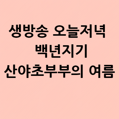  생방송 오늘저녁 백년지기산야초 위치 장소 어디? 부부의 여름 밥상 삼시세끼 양주시