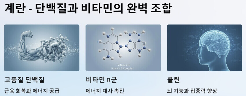 계란 ppt 이미지