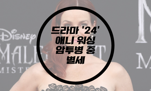  미국 드라마 '24' 여배우 애니 워싱, 암 투병 끝 사망..향년 45세