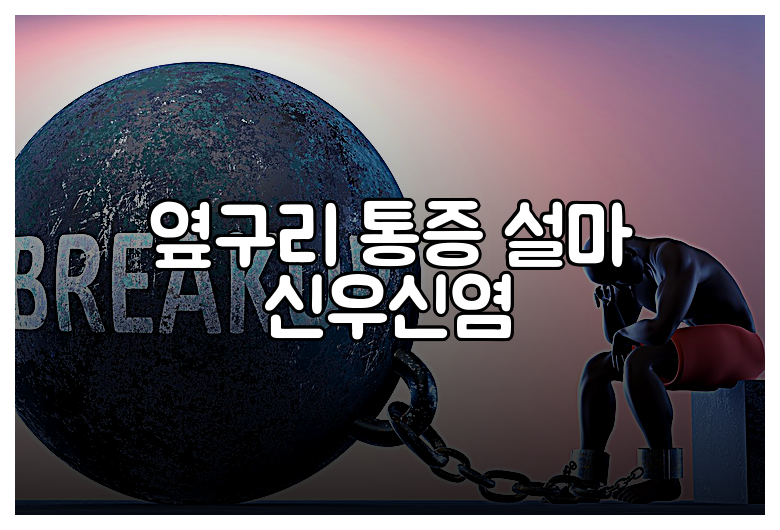 옆구리 통증 설마 신우신염