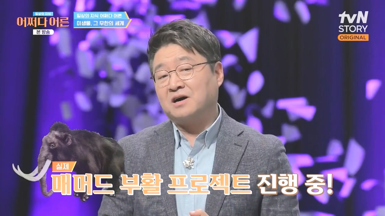 어쩌다 어른.E51.240410p-NEXT.mp4_20240410_170529.101.jpg