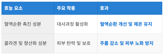 혈액순환과 피부 건강