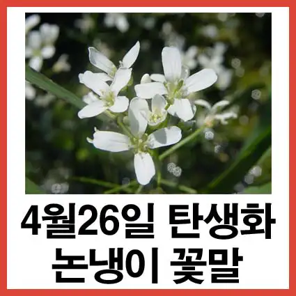 4월-26일-탄생화-논냉이-꽃말