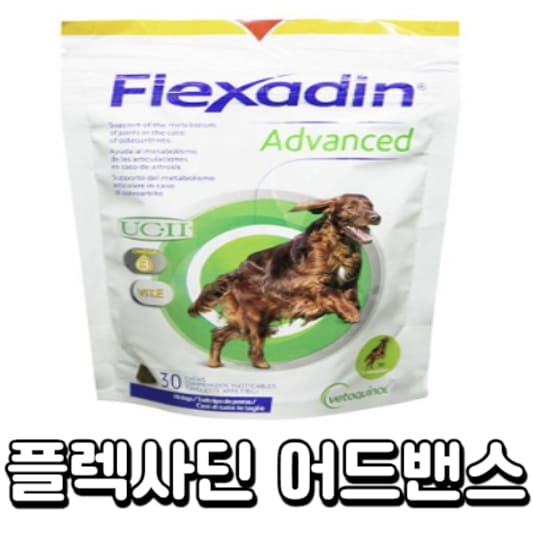 플렉사딘-어드밴스
강아지-관절
강아지-영양제