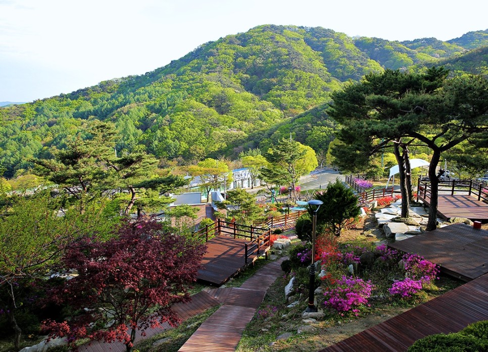  경산 캠핑장 신규 신설 갓바위캠핑장
