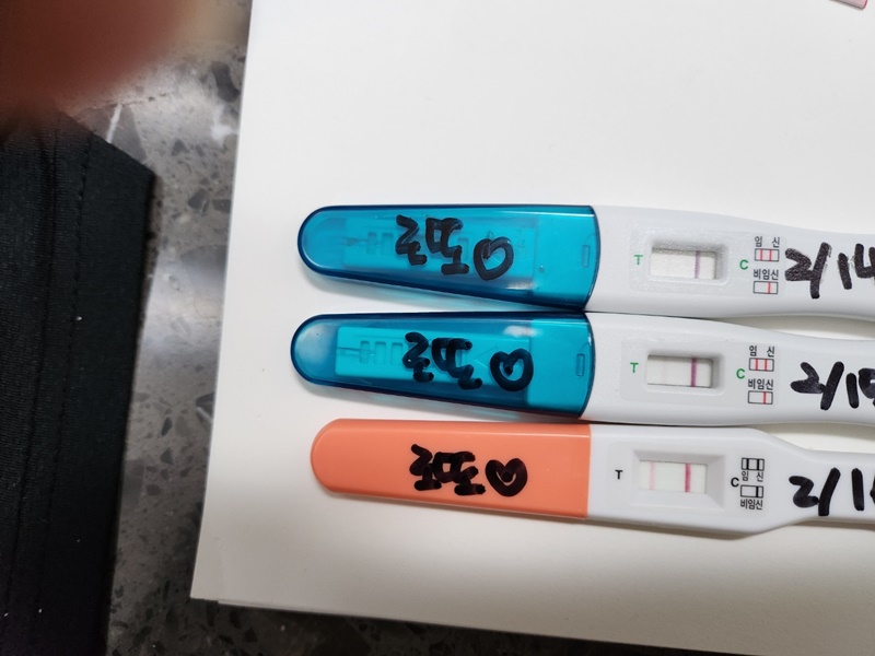 임신-테스트기-주수별-변화-사진