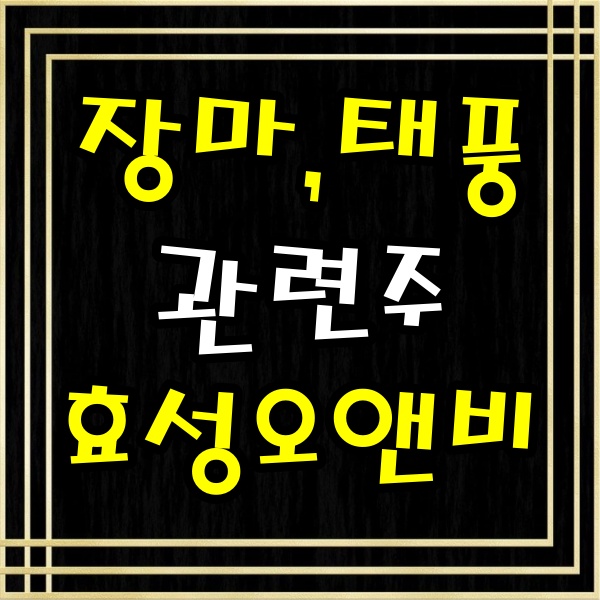  [단타복습일기] 태풍 & 장마 관련주 , 효성오앤비