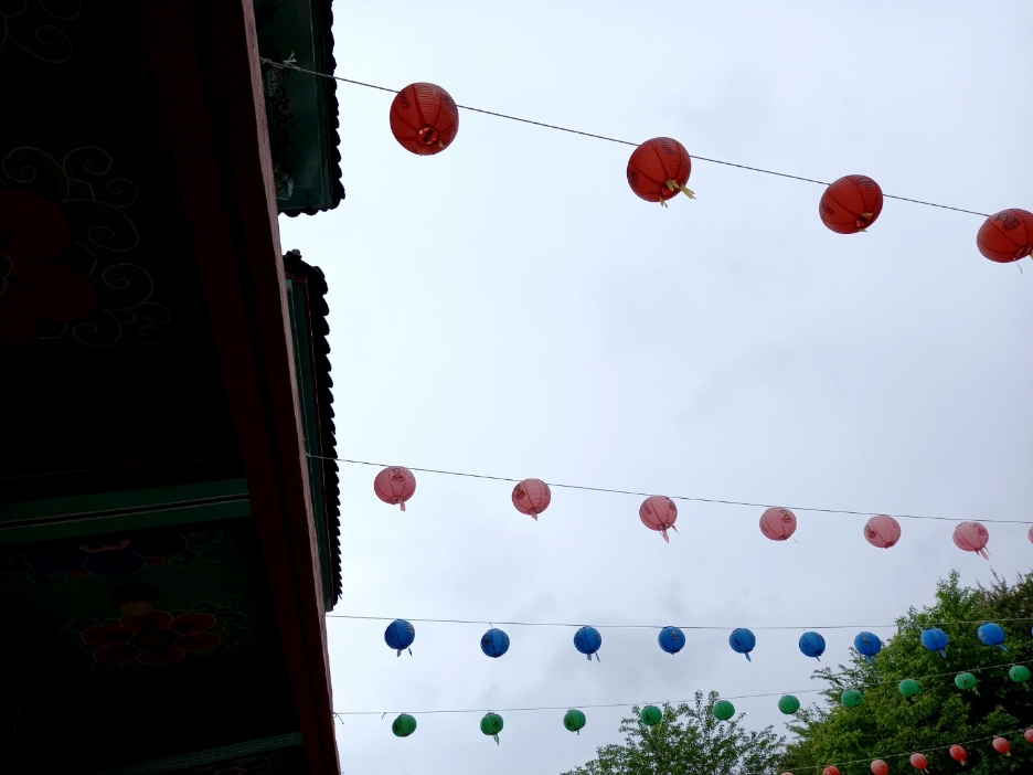 img.jpg
