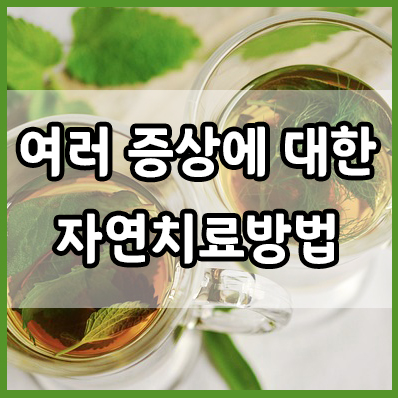  자연 치료법 : 두통, 알러지, 소화 문제