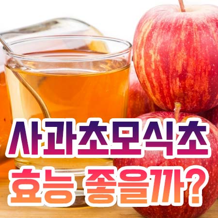  사과초모식초 효능 좋은 이유
