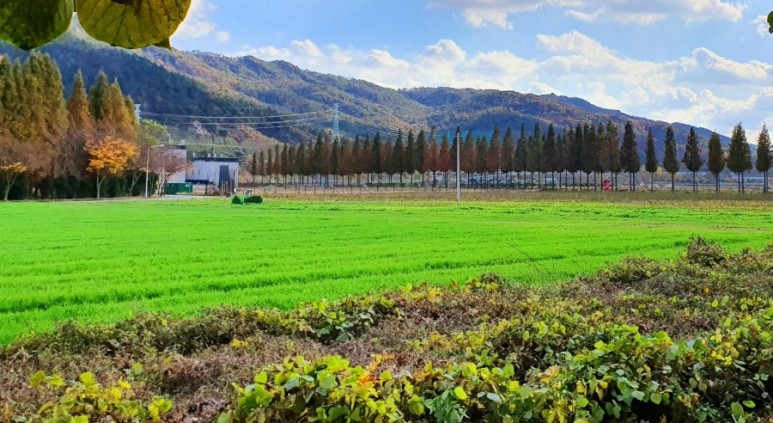 - 수덕사, 명상치유림길과 수암산의 가을 예산으로 볼거리, 단풍여행 29