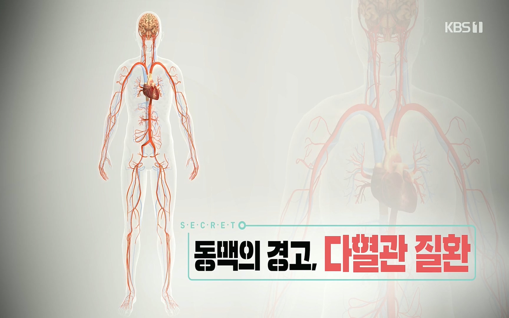 생로병사의 비밀.E831.220817p.H264-F1RST.mp4_20220822_181333.646.jpg