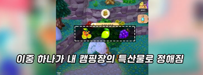  동물의 숲 포켓캠프 리프티켓 빠르게 모으는 법 3편