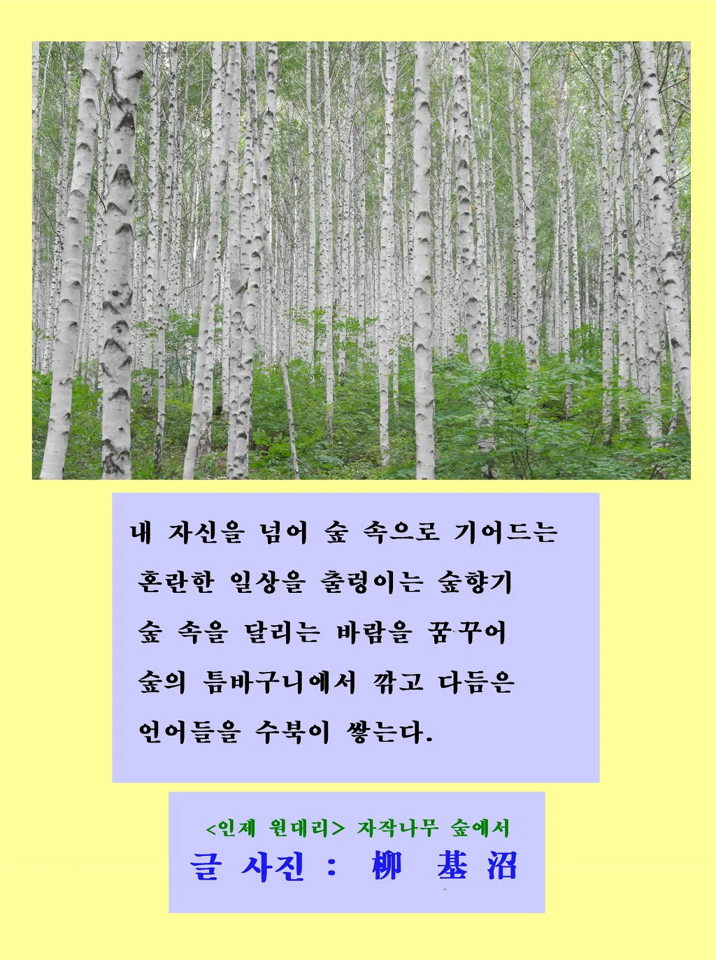 출렁이는 숲의 전설 미스터리_2