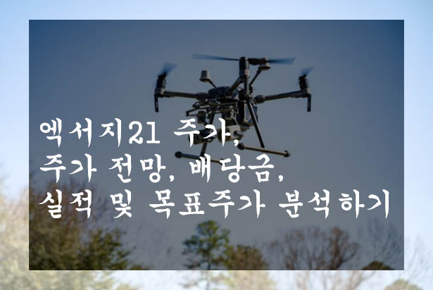  엑서지21 주가, 주가 전망, 배당금, 실적 및 목표주가 분석하기