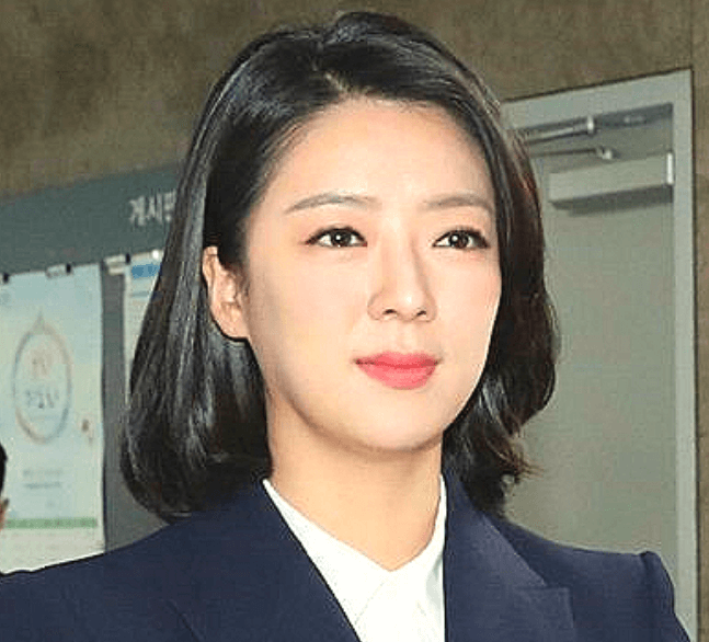 배현진 피습 범인 중학생