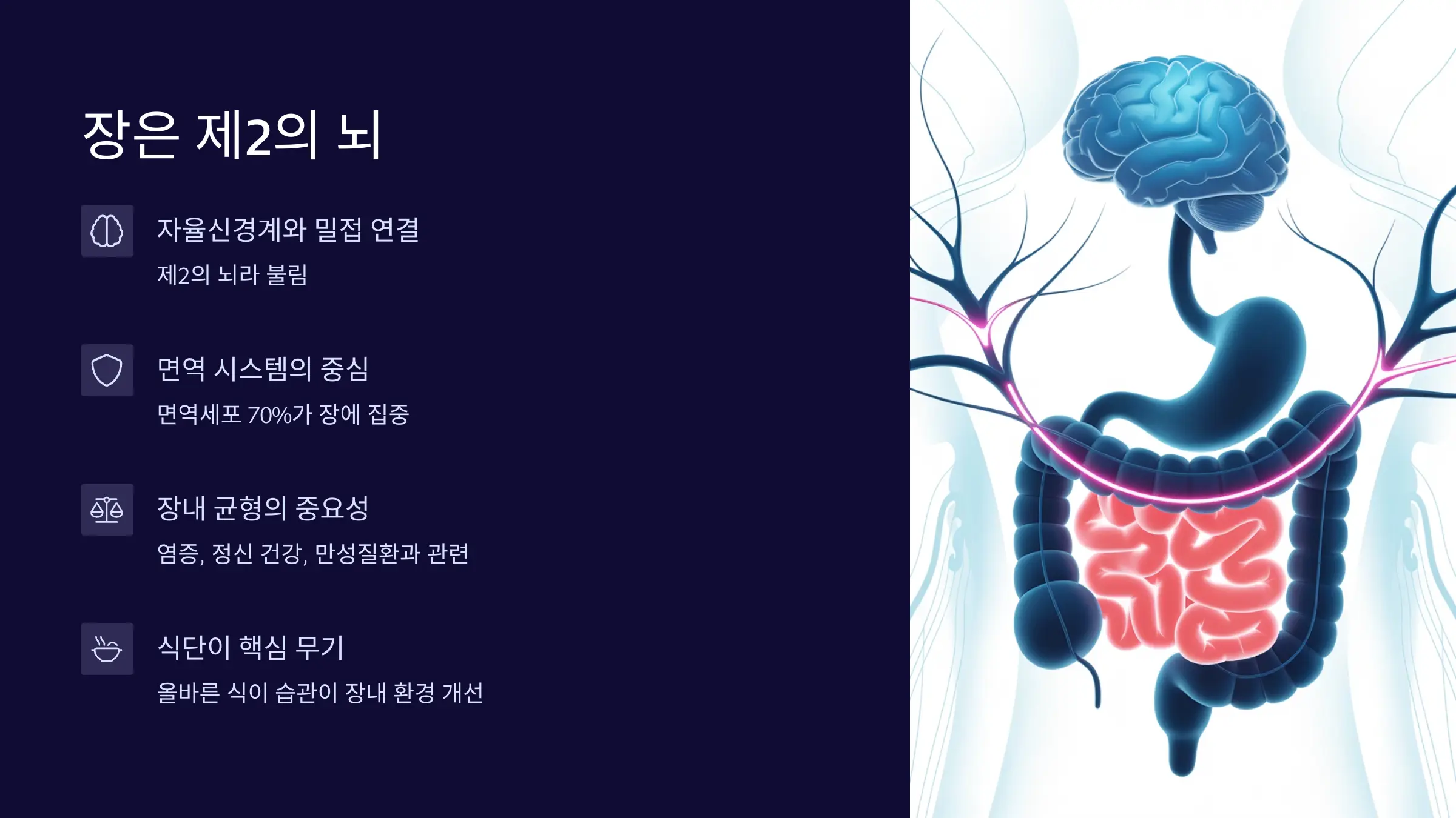 장 건강은 몸 전체의 건강과 직결됩니다