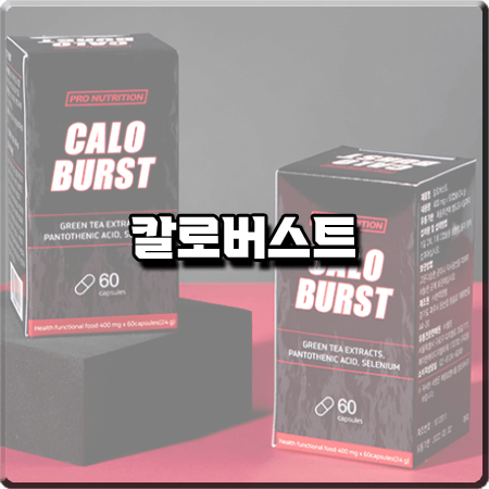  칼로버스트 효과 및 성분/효능/먹는법/가격 등 알아보기