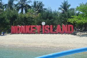 나트랑 여행 추천 나트랑 원숭이 섬