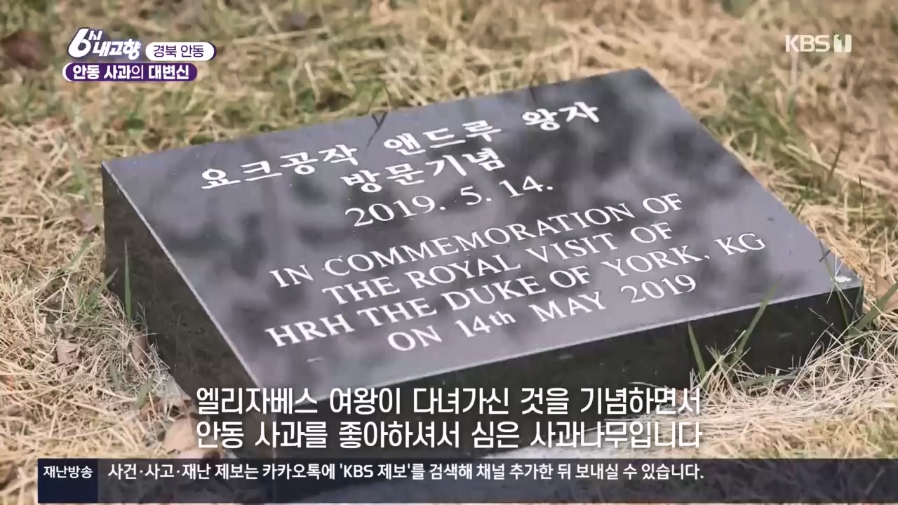 6시 내고향.E7907.231108p.H264-F1RST.mp4_20231108_202420.456.jpg