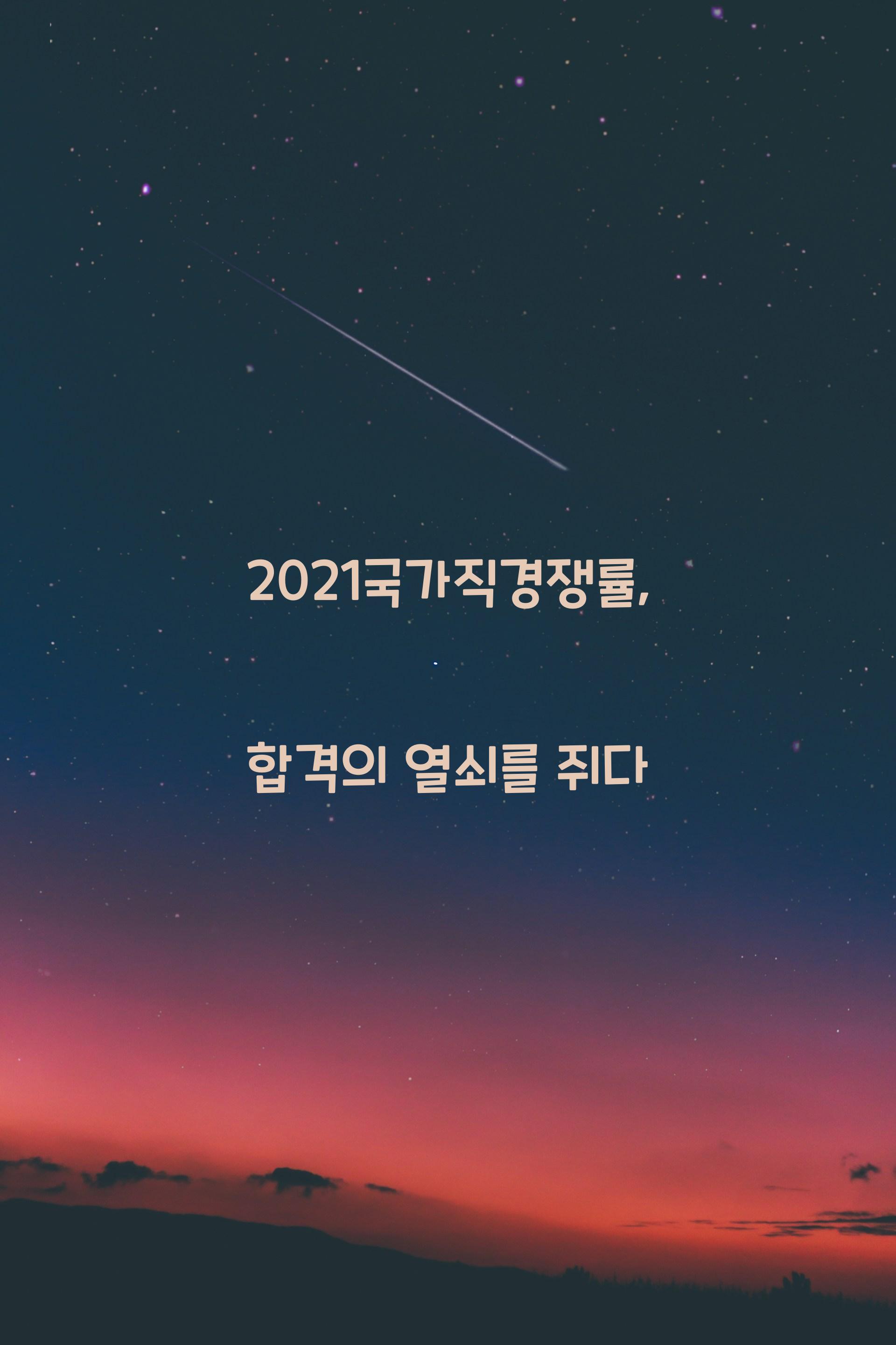2021국가직경쟁률