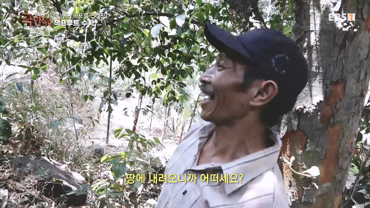 TV - 전 국민의 평생학교 EBS30m의 공포를 견뎌라! 인도네시아 열대과일 수확.mp4_20240103_200547.341.jpg