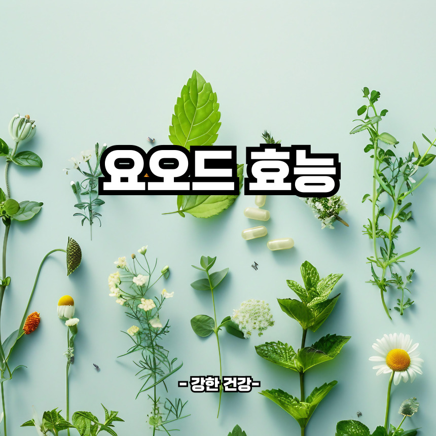 요오드 효능