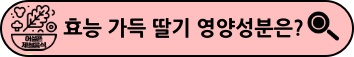 딸기-효능-알아보기-배너