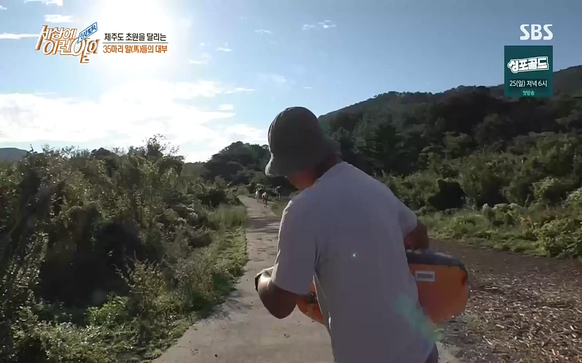 순간포착 세상에 이런일이.E1198.220920.H265p-BULDU.mp4_20220921_201956.010.jpg