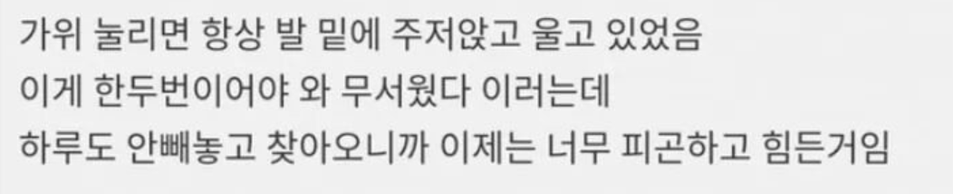 이 이미지는 대체 속성이 비어있습니다. 그 파일 이름은 img.png입니다