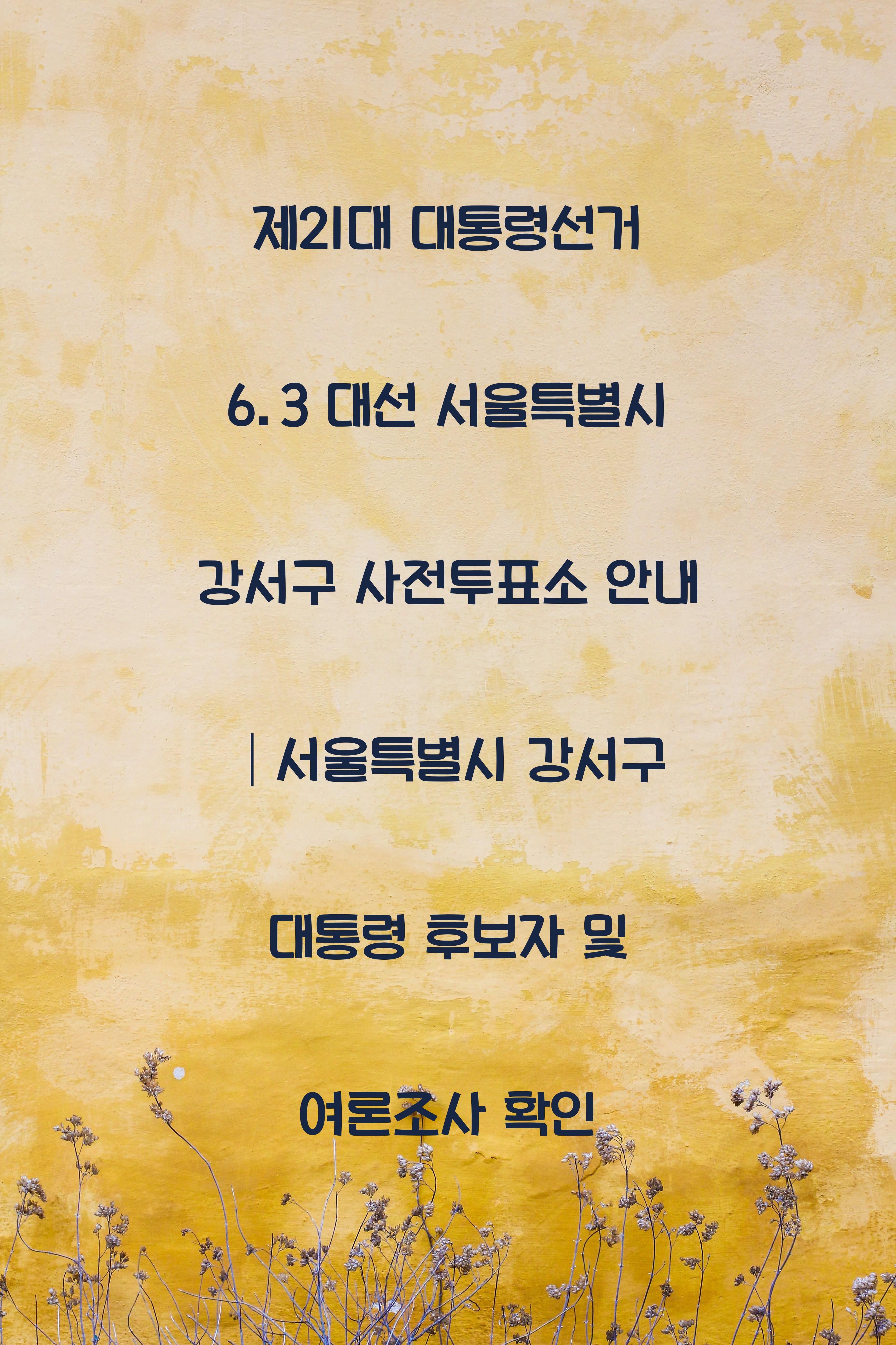 제21대 대통령선거 6.3 대선 서울특별시 강서구 사전투표소 안내 │서울특별시 강서구 대통령 후보자 및 여론조사 확인