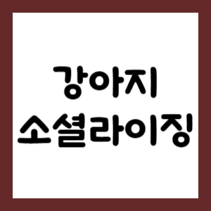 강아지의 소셜라이징1