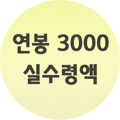  연봉 3000 실수령액 세금 반영 최신본