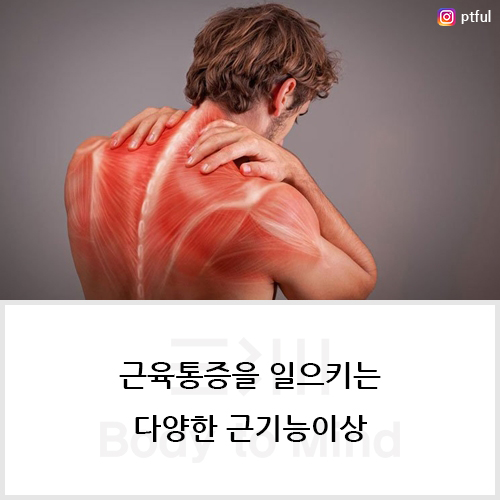  근육통증(muscle pain)을 일으키는 다양한 근기능이상(muscle dysfunction)