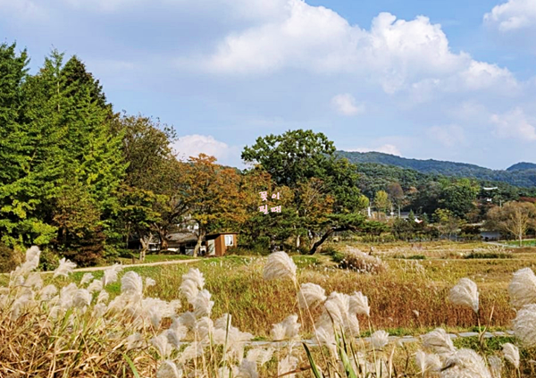 청주 가볼만한곳 베스트10