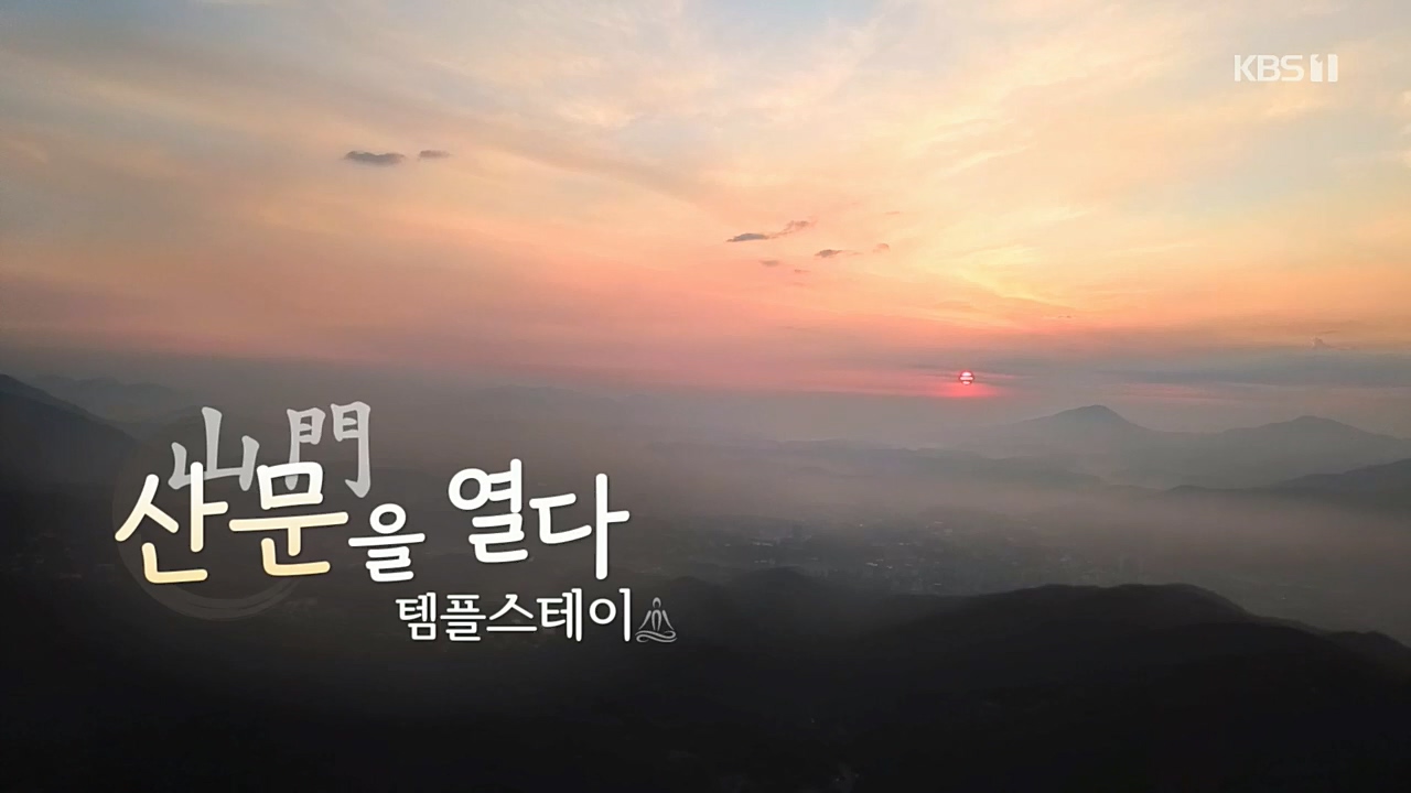 다큐 On.E170.221112p.H264-F1RST.mp4_20221120_141901.189.jpg