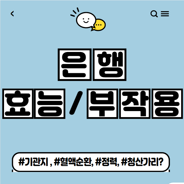  은행 효능 부작용 정리